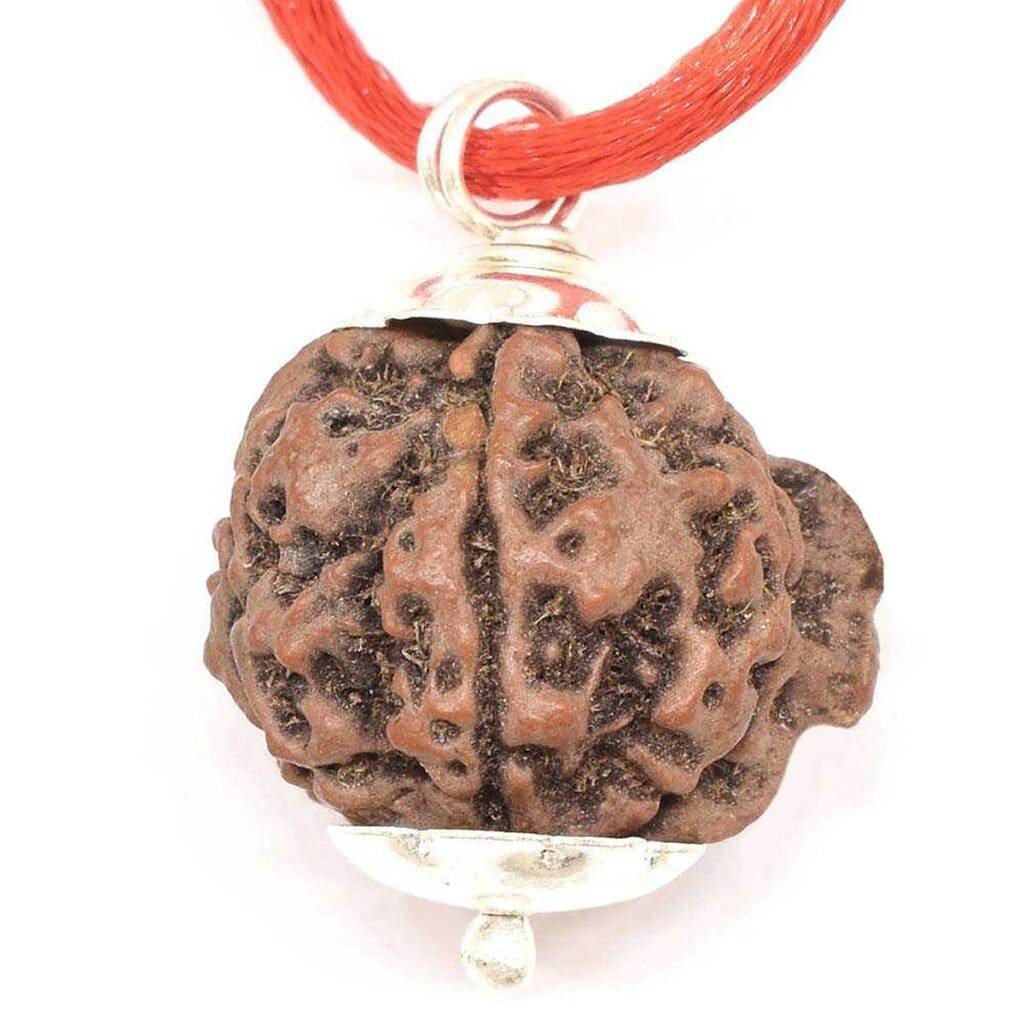 Ganesh Rudraksha