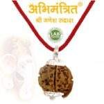 Original Ganesh Rudraksha @ Best Price Abhimantrit™