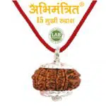 15 Mukhi Rudraksha