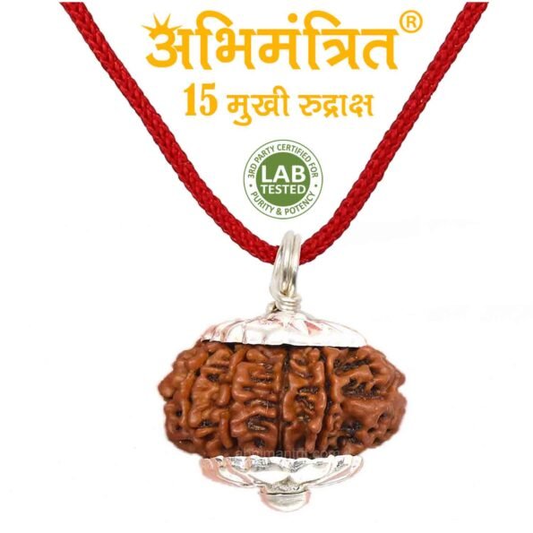 15 Mukhi Rudraksha