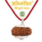 16 Mukhi Rudraksha