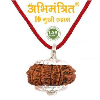 16 Mukhi Rudraksha