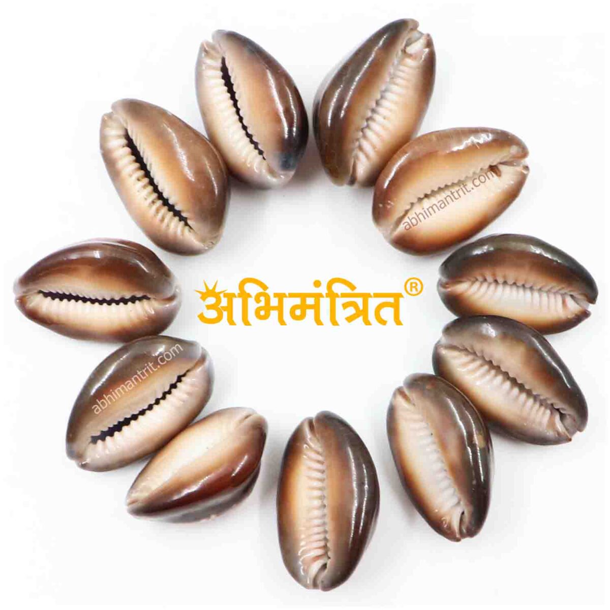 Kali Kaudi