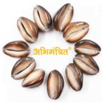 11 Kali Kaudi Black @ Best Price Abhimantrit™