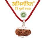 17 Mukhi Rudraksha @ Best Price Abhimantrit™