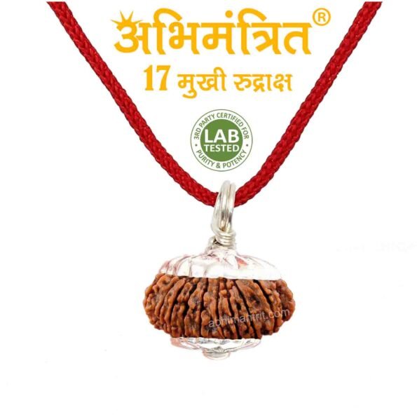 17 Mukhi Rudraksha