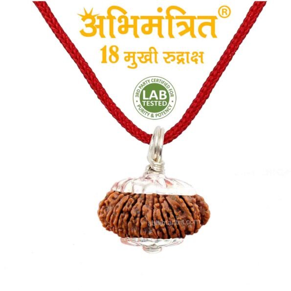 18 Mukhi Rudraksha