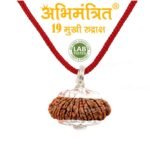 Buy 100% Original 19 Mukhi Rudraksha at Low Price – Abhimantrit