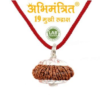 19 Mukhi Rudraksha