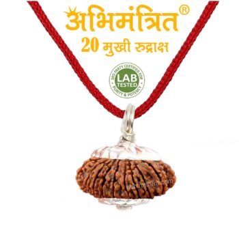 20 Mukhi Rudraksha