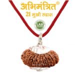 21 Mukhi Rudraksha @ Best Price Abhimantrit®