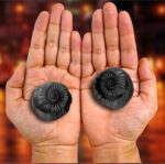 Laxmi Narayan Shaligram Stone from Gandaki River Nepal with Guarantee Certificate - 2 Pieces