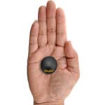 Laddu Gopal Shaligram @ Best Price Abhimantrit®