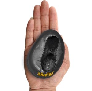 Lakshmi Narayan Shaligram 4 inch