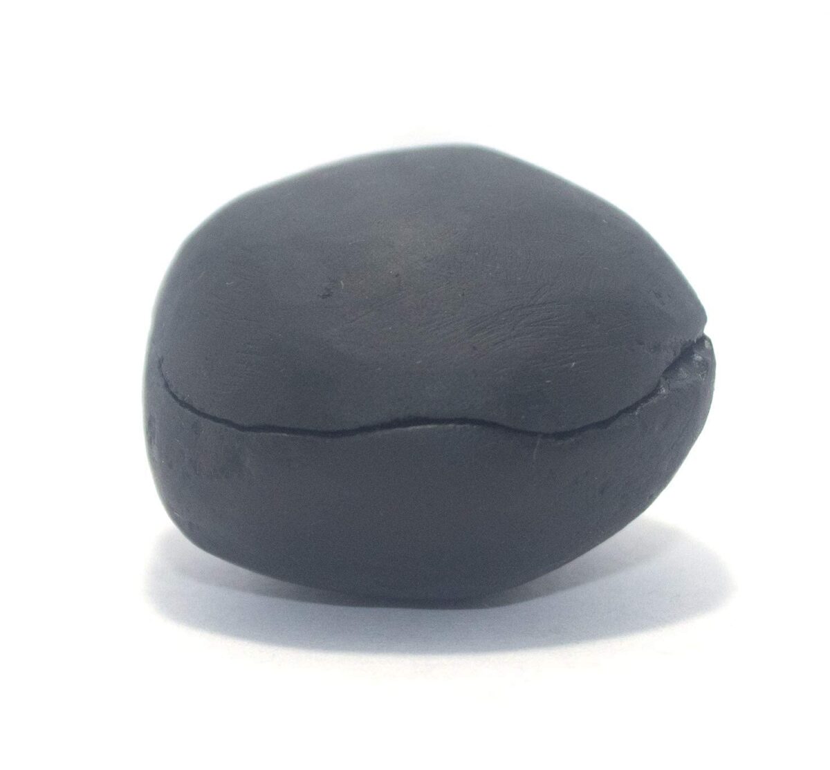 Laxmi Narayan Shaligram Stone 2 pieces