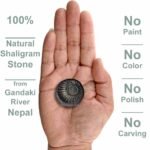 Vishnu Shaligram Stone @ Best Price Abhimantrit®