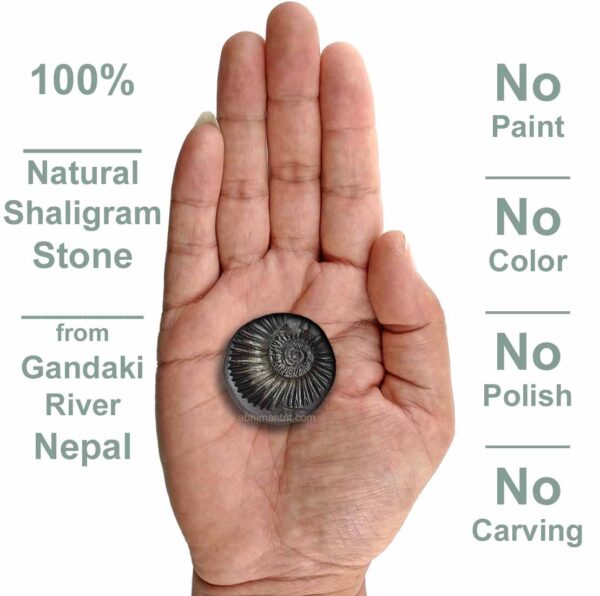 Original Vishnu Shaligram Stone