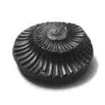 Vishnu Shaligram Stone @ Best Price Abhimantrit®