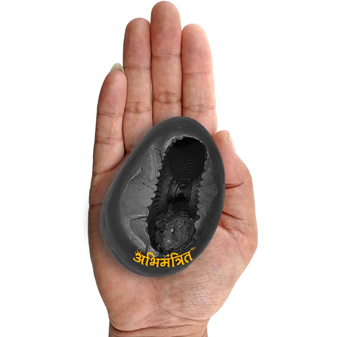 Buy Laxmi Narayan Shaligram Stone Best Price Abhimantrit™