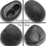 Original Lakshmi Narayan Shaligram