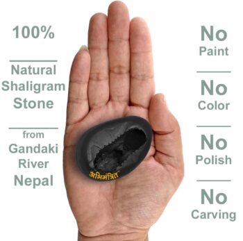 Original Lakshmi Narayan Shaligram 2 inch