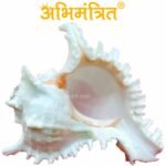 Buy Garuda Shankh @ Best Price Abhimantrit™