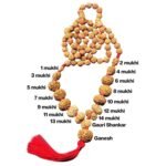 1 to 14 Mukhi Rudraksha Mala @ Best Price Abhimantrit™