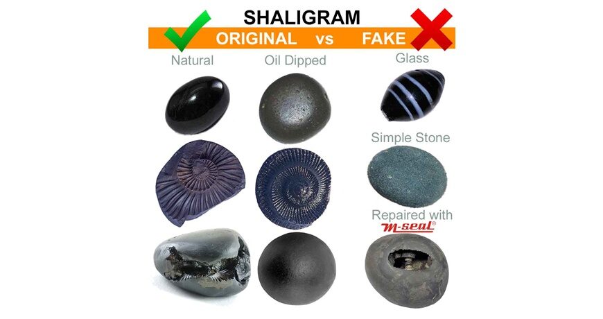 5 Tips to Identify Original Shaligram Stone & it's Types with Photos