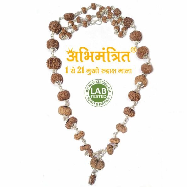 1 to 21 Mukhi Rudraksha Mala