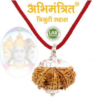 Trijuti Rudraksha