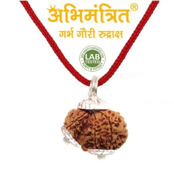 garbh gauri rudraksha