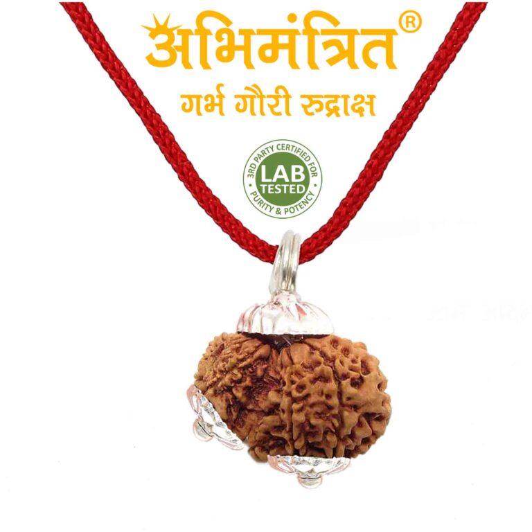 garbh gauri rudraksha