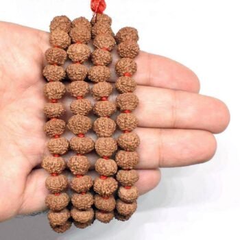 10 mukhi rudraksha mala indonesian