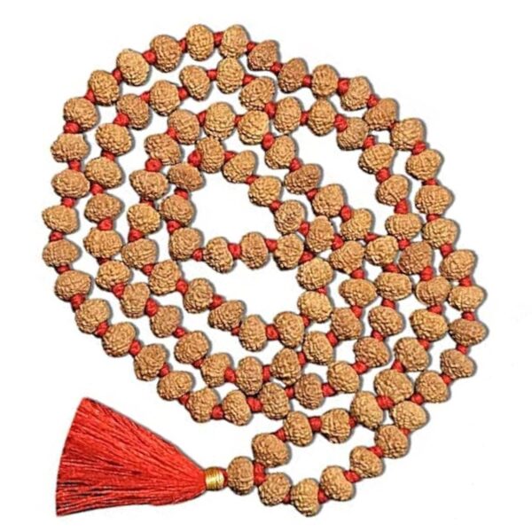 10 mukhi rudraksha mala