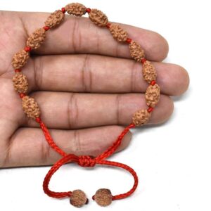 2 mukhi rudraksha bracelet