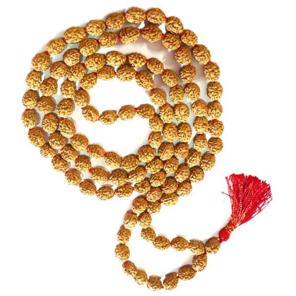 4 mukhi rudraksha mala