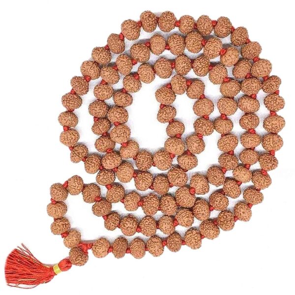 6 Mukhi rudraksha mala