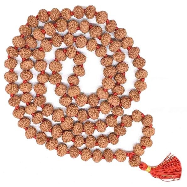 8 mukhi rudraksha mala