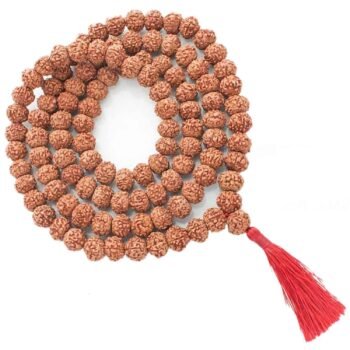 7 mukhi rudraksha mala