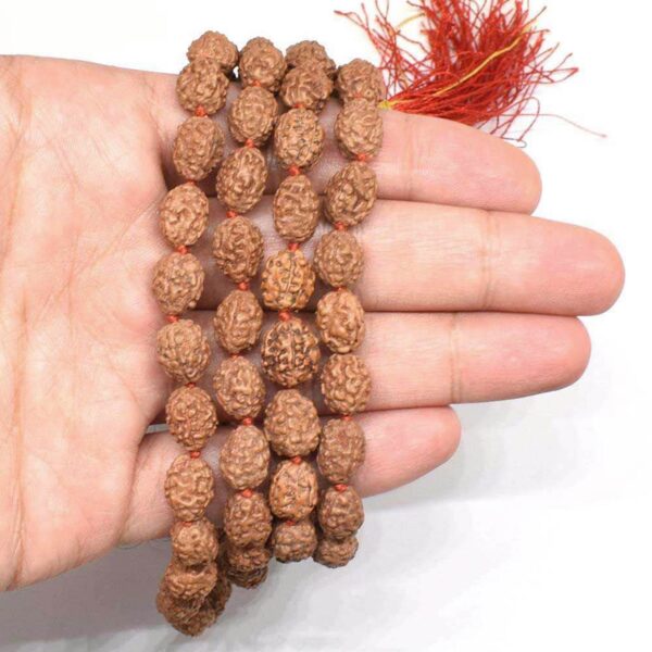 Abhimantrit 4 mukhi rudraksha mala