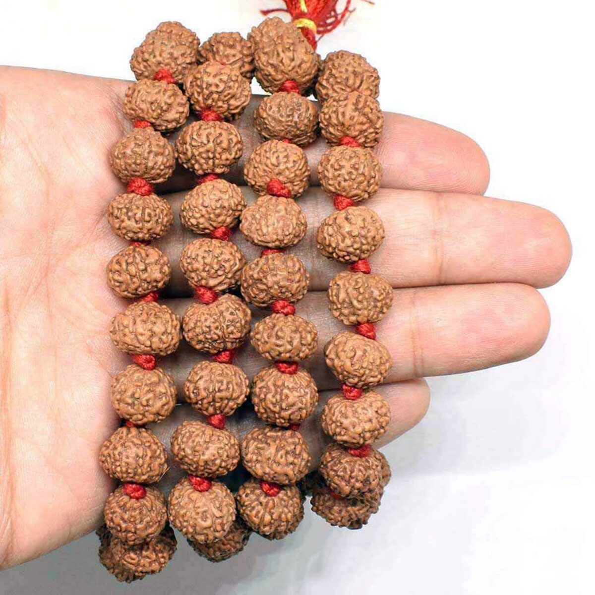 Original 6 Mukhi Rudraksha Mala | 108 Beads with Lab Certificate - Indonesian - Image 2