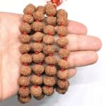 Buy Abhimantrit™ 6 Mukhi Rudraksha Mala at Best Price