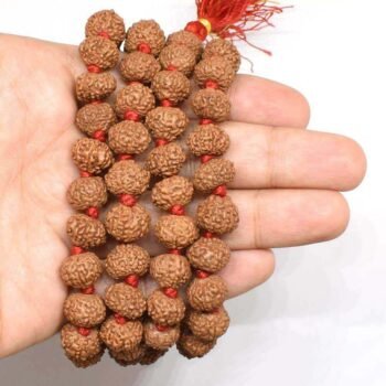 Abhimantrit-9-Mukhi-Rudraksha-Mala