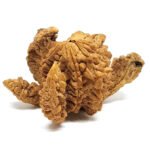 Kamal Rudraksha Online @ Best Price – Abhimantrit