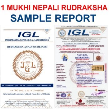 1 Mukhi Nepali Rudraksha with Lab Certificate