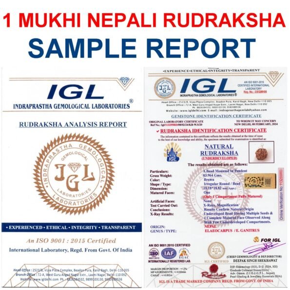 1 Mukhi Nepali Rudraksha with Lab Certificate