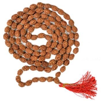 2 mukhi rudraksha mala