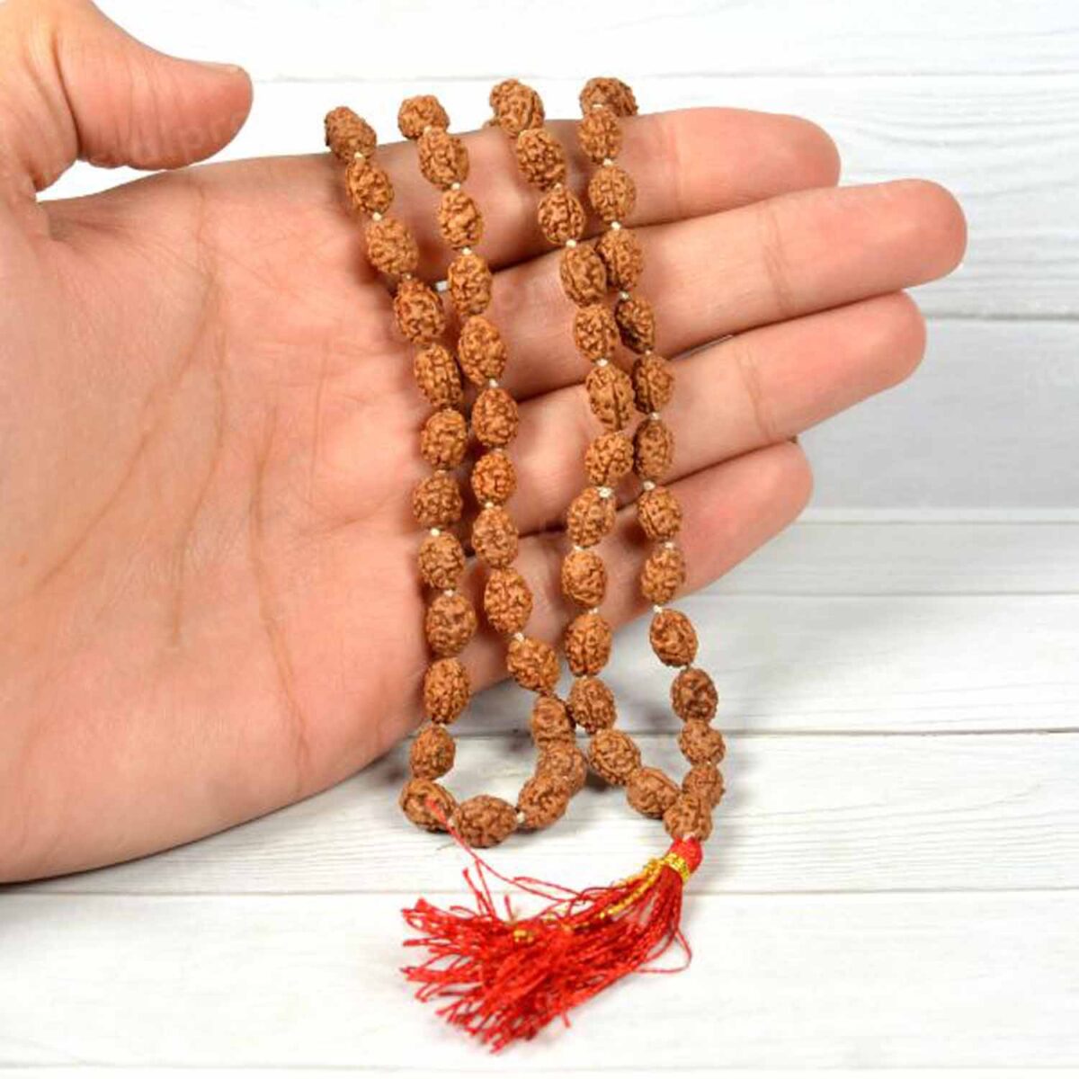 Abhimantrit 3 mukhi rudraksha mala