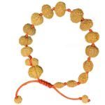 1 to 14 mukhi rudraksha bracelet