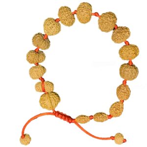 1 to 14 mukhi rudraksha bracelet